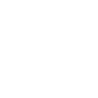 ardemagni Darkmode Logo