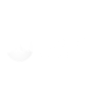 zfgg Darkmode Logo