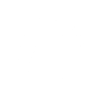 zf Darkmode Logo
