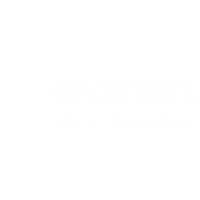 baosteel Darkmode Logo